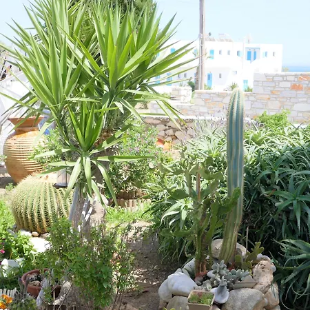 Apartahotel Stavros 4*