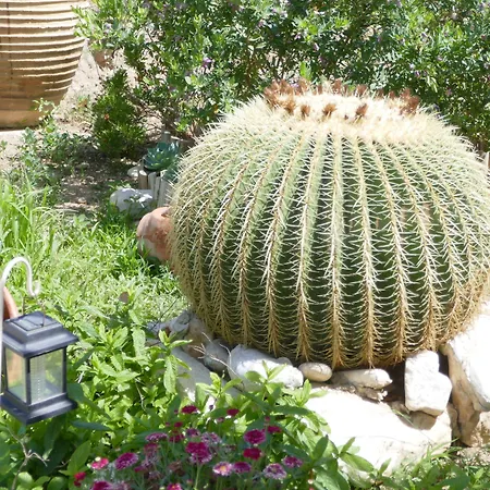 Stavros Apartahotel Logaras