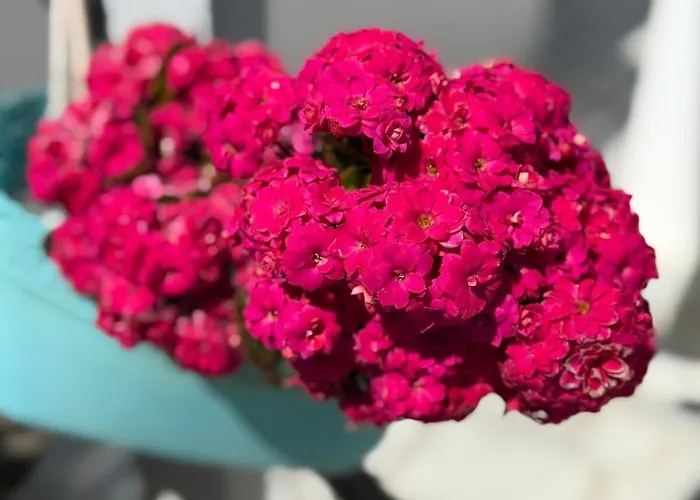 Stavros Aparthotel 4*