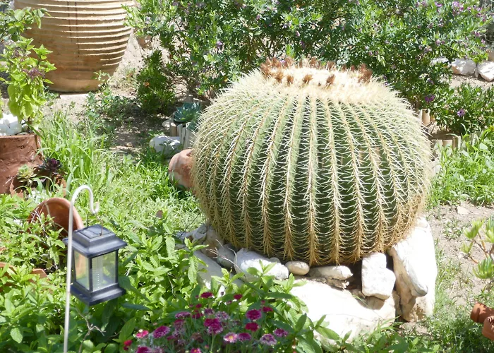 Stavros Aparthotel Logaras